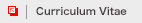 Curriculum Vitae