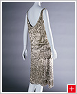 Evening Dress (detail) Worth